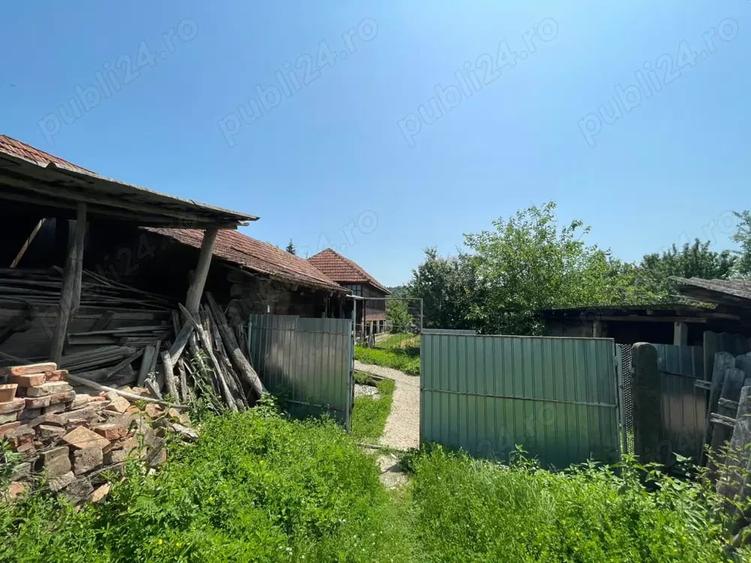 Casă cu 3 camere cu Teren 3800 Mp în Bălănești