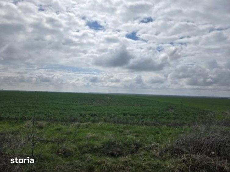 Teren de 5000 mp, în Filipeștii de Târg