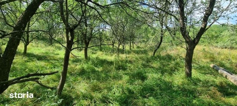 Casă cu 3 camere cu Teren 107 Mp în Central