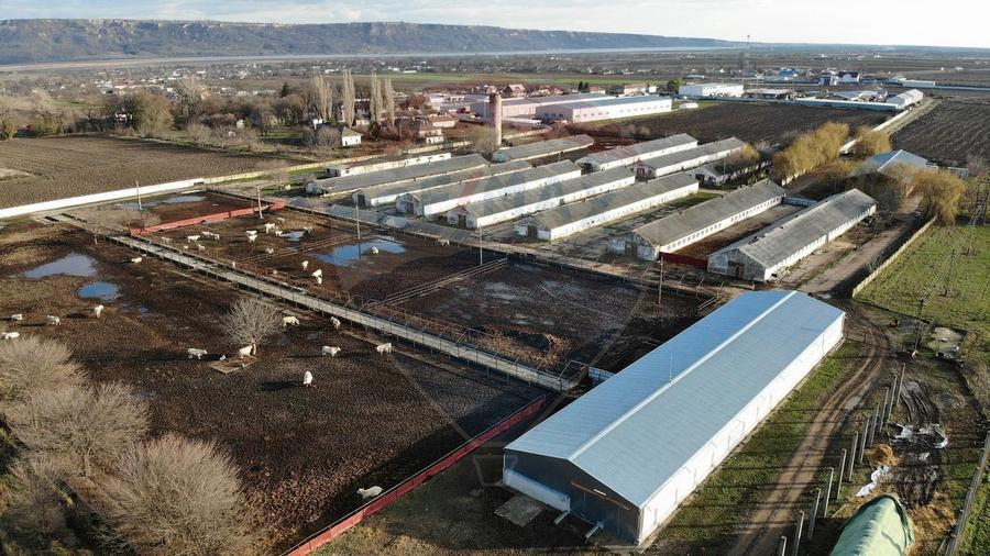 Spațiu industrial, de 16,000 mp, în Pufești