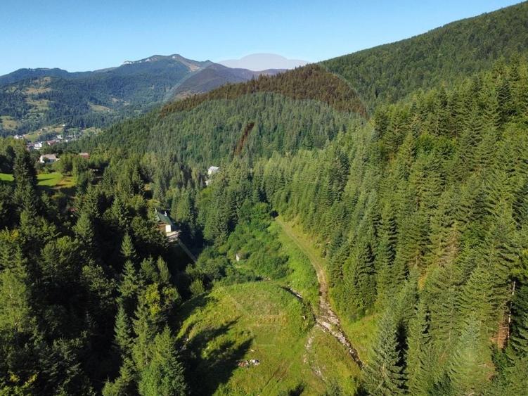 Teren agricol extravilan de 2895 mp, în Nord