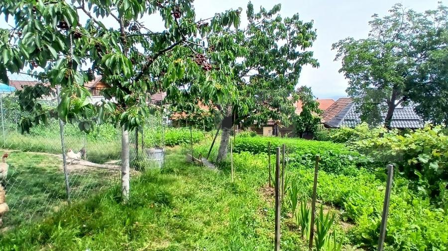 Casă individuală cu 3 camere cu Canalizare în Reghin
