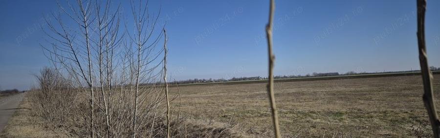 Teren de 36800 mp, în Scutelnici