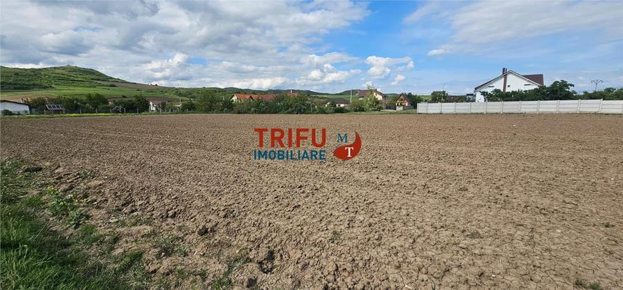 Teren Construcții intravilan de 2000 mp, în Ighiu