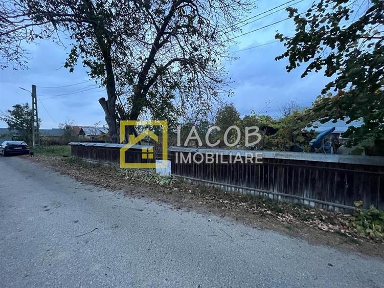 Teren Construcții intravilan de 3630 mp, în Tamași