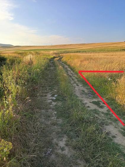 Teren de 8800 mp, în Schela