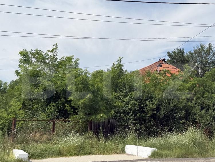 Teren 5000 mp , zona Dragoieni - 2