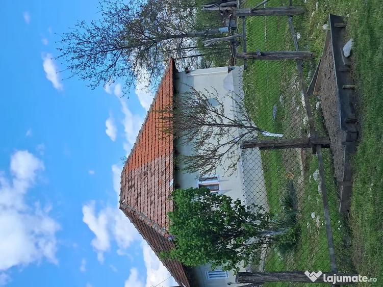Teren de 10000 mp, în Tomșani