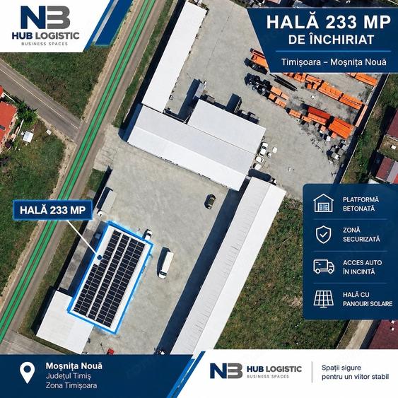 Spațiu comercial, de 233 mp, în Moșnița Nouă