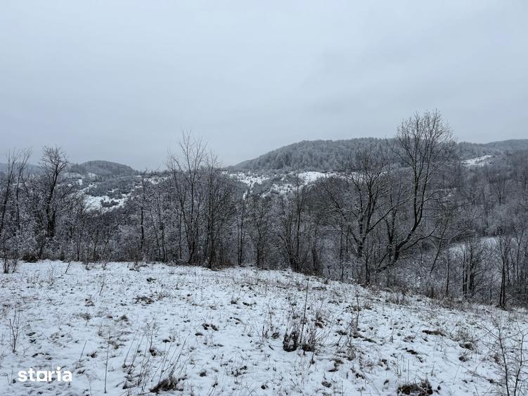 Teren de 3824 mp, în Provița de Jos