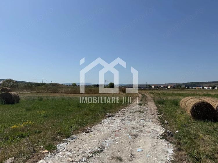 Teren de 5800 mp, în Jucu