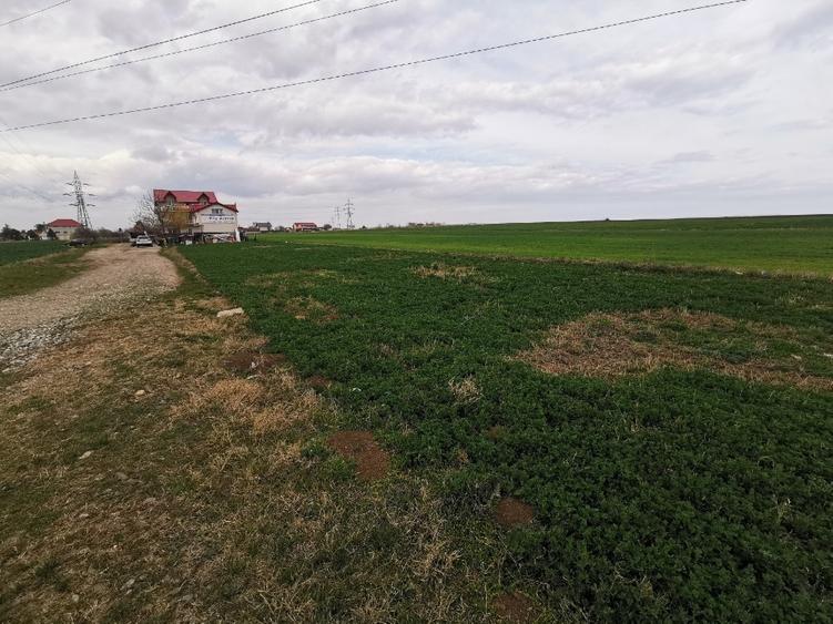 Casă individuală cu 5 camere cu Canalizare în Corbu