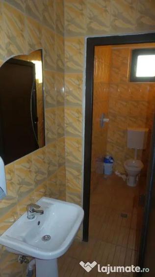 Spațiu comercial, de 450 mp, în Boțârlău