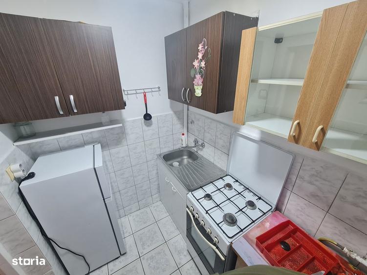 Inchitiez Garsoniera Confort 1 Micalaca Cenad,proaspat Zugravita Eta3 - 7