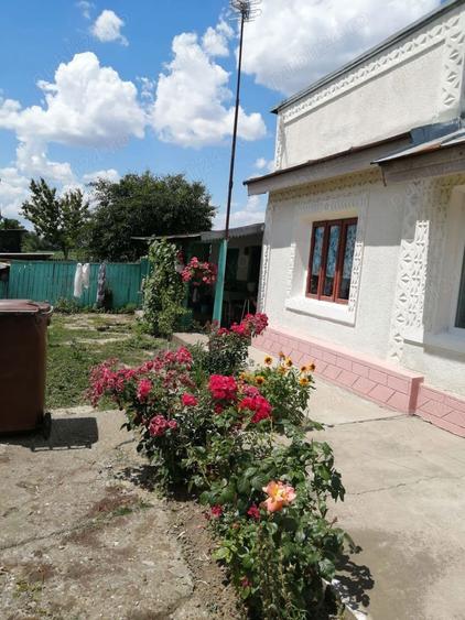 Casă cu 3 camere în Barcea