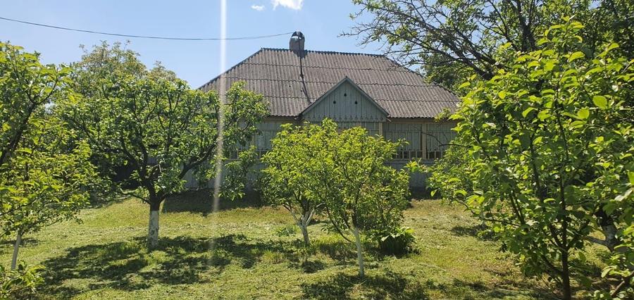 Casă cu 2 camere în Dersca