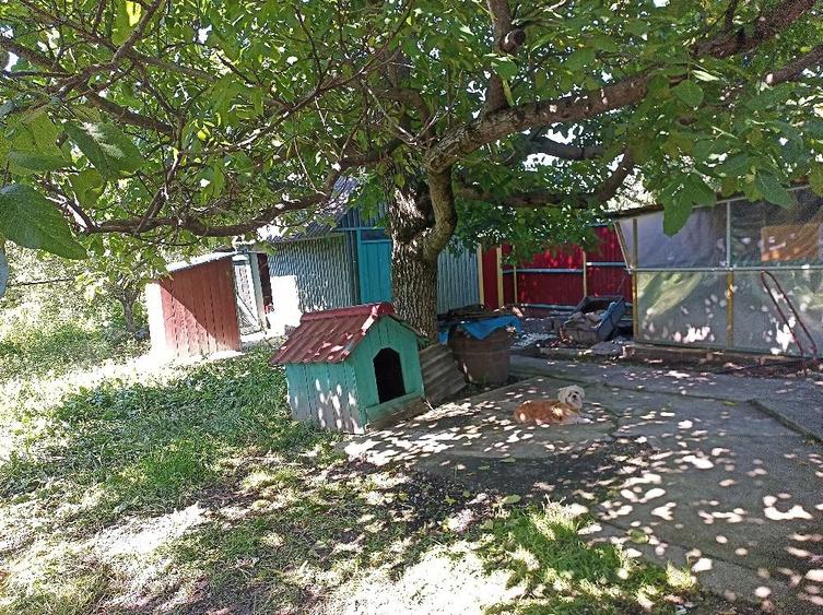 Casă cu 3 camere cu Teren 1800 Mp în Itești