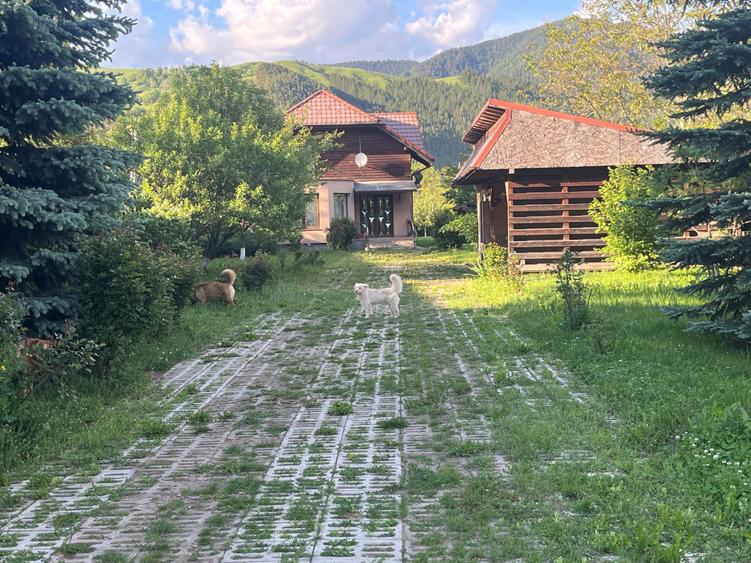 Casă cu 4 camere în Tașca