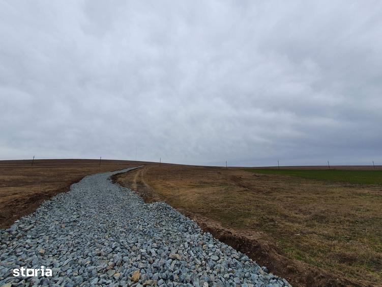 Teren de 590000 mp, în Saraiu