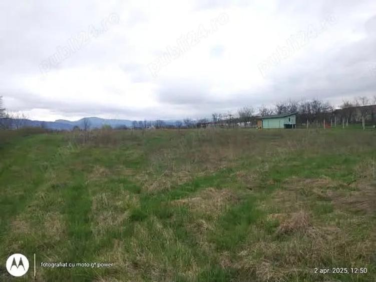 Teren de 844 mp, în Lăpuș