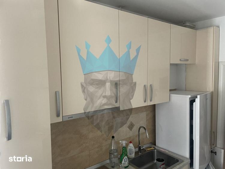 Apartament cu 2 camere, mobilat în Parcul Carol