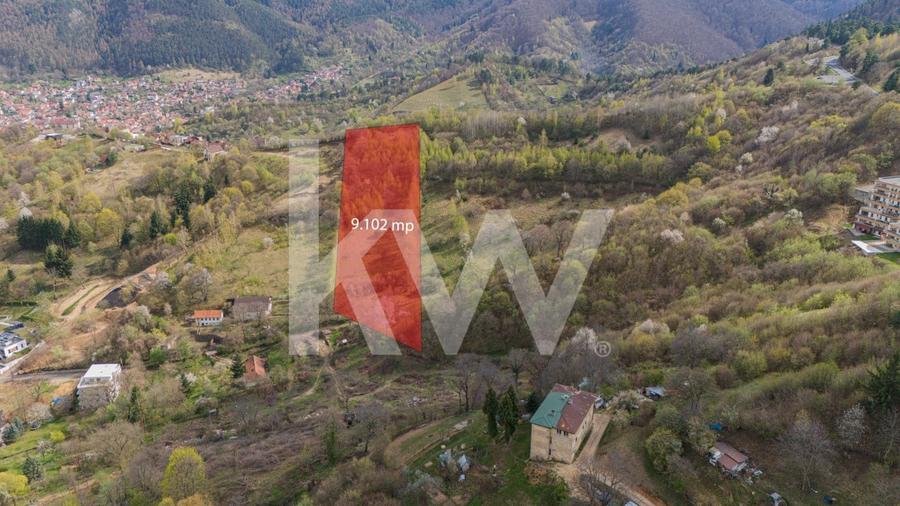 Teren Construcții intravilan de 9102 mp, în Drumul Poienii