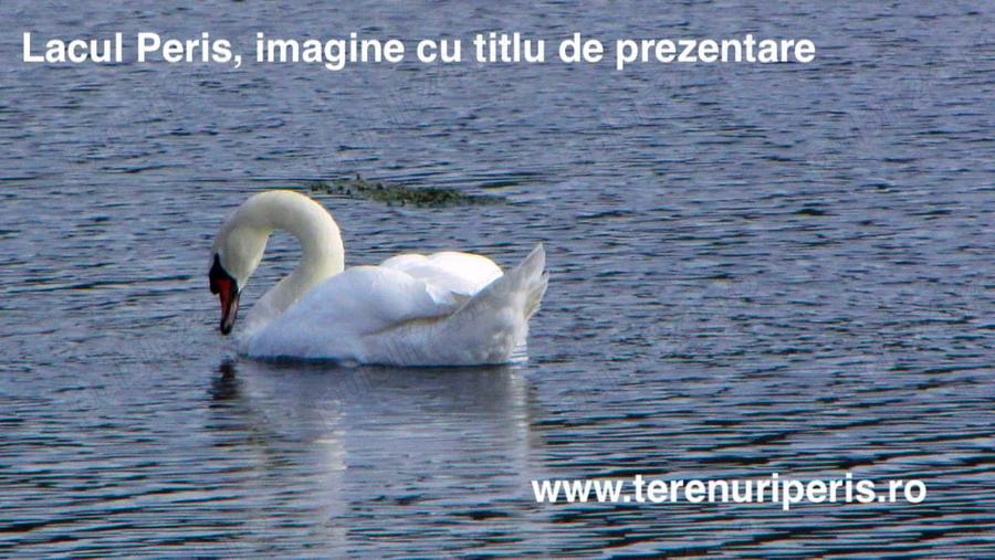 Teren în Săftica