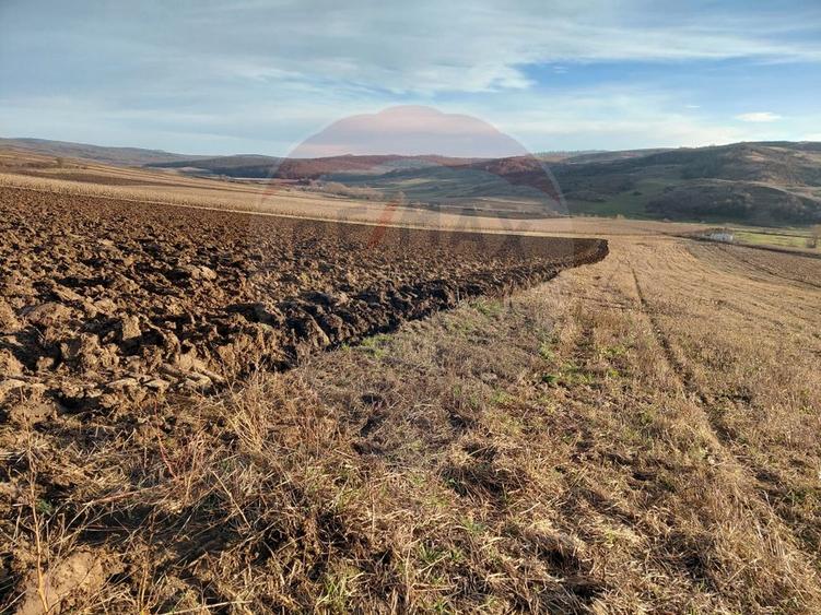 Teren agricol intravilan de 7200 mp, în Secuieni