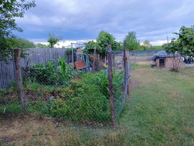 Casă cu 3 camere cu Teren 3000 Mp în Români