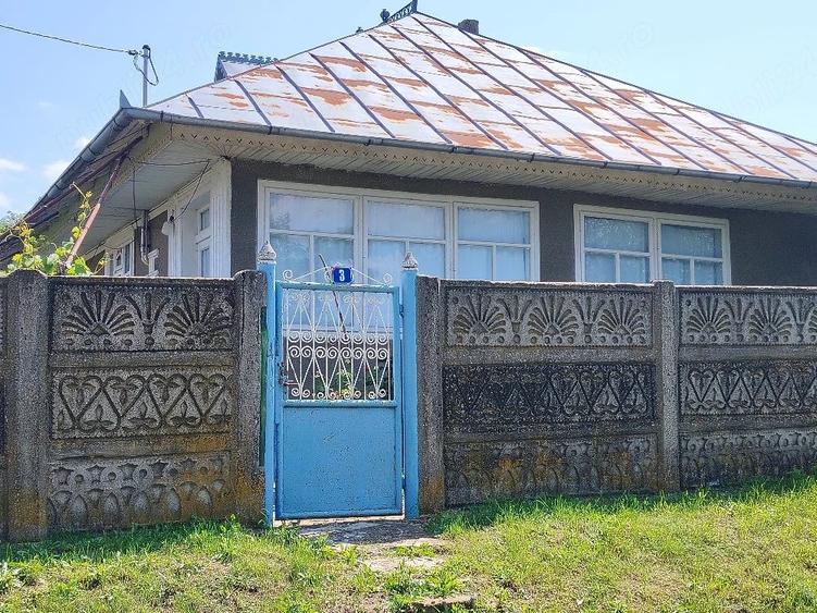 Casă cu Teren 2400 Mp în Cârja