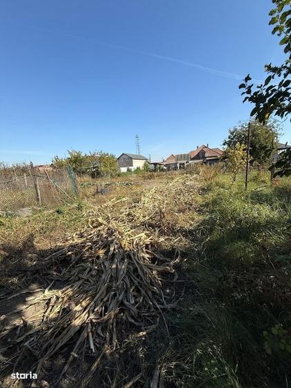 Casă cu 3 camere în Central