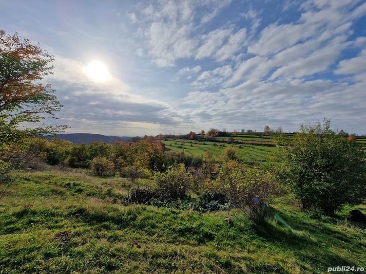 Teren de 18527 mp, în Cerbăl