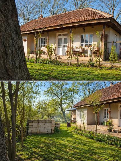 Casă cu 4 camere cu Teren 3113 Mp în Drăgănești-Vlașca