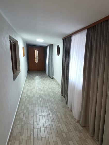 Casa individuala, teren 5200mp, oportunitate de investitie, Brodina - 13