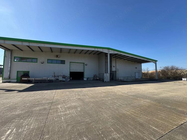 Spațiu comercial, de 3,650 mp, în Dumbrăvița