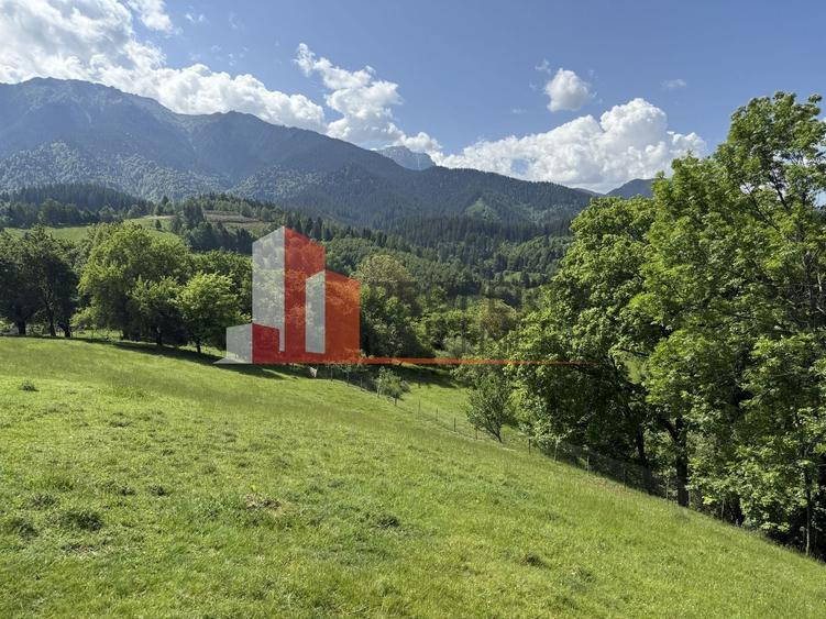 Teren Construcții intravilan de 2799 mp, în Bran