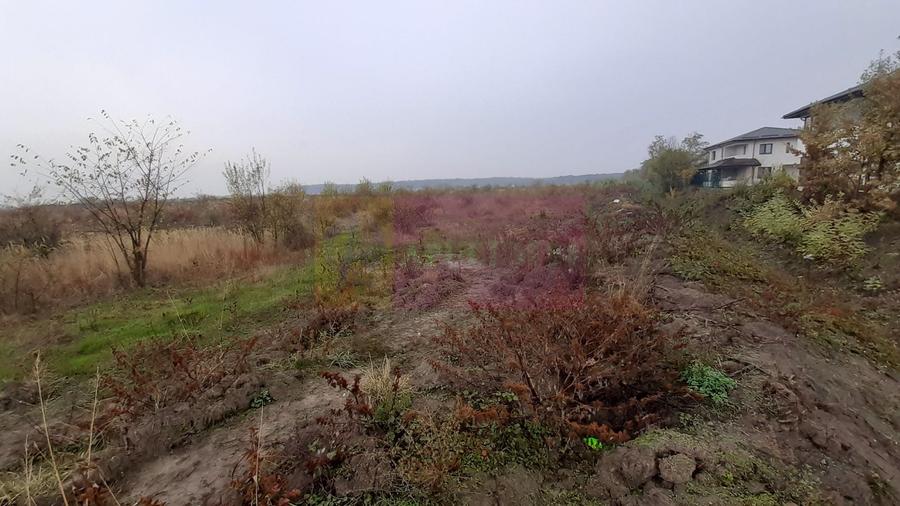 Teren agricol extravilan de 5000 mp, în Corbeanca