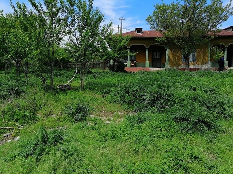 Casă cu 4 camere cu Teren 2300 Mp în Sud
