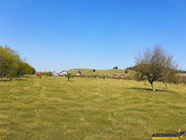 Teren de 3250 mp, în Sânpetru