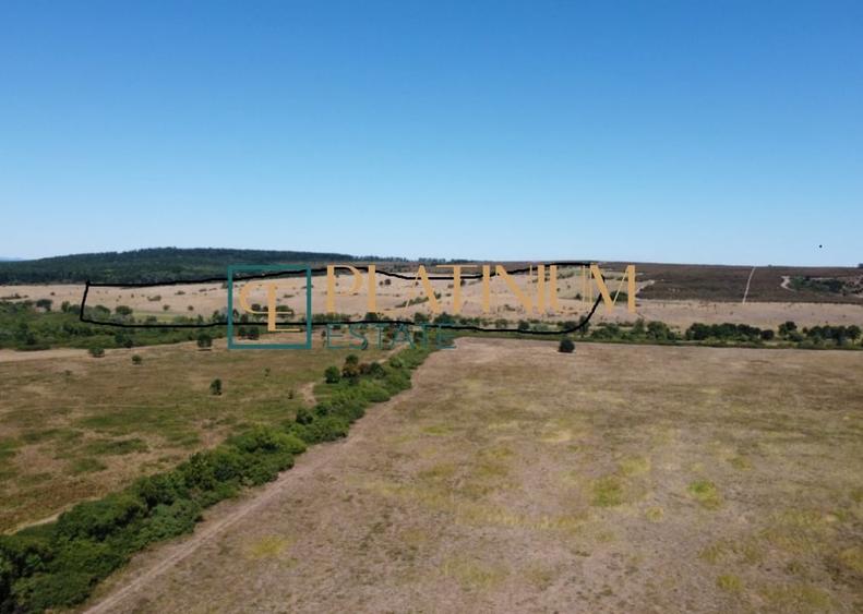 Teren agricol extravilan de 64700 mp, în Ghizela