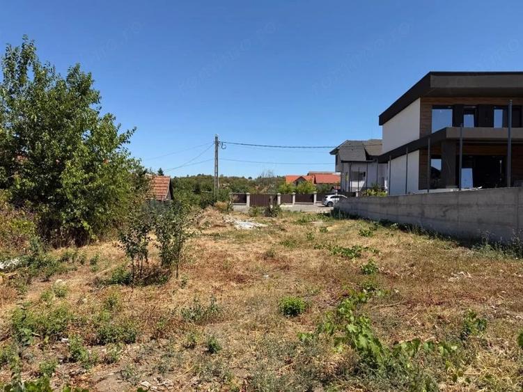 Teren Dealuri Oradea | Spitalul TBC | Aslat si utilitati - 2