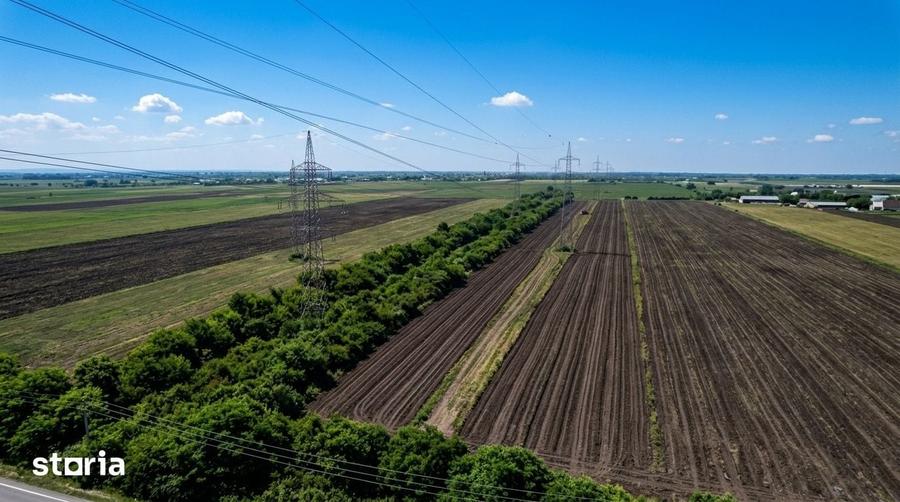 Teren de 5002 mp, în Glina