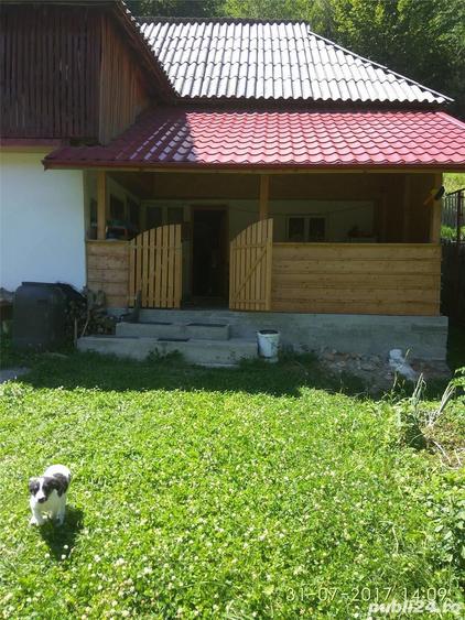 Teren de 2000 mp, în Bradu