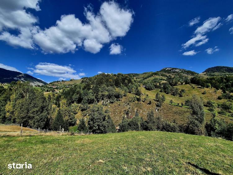 Teren de 2969 mp, în Moieciu