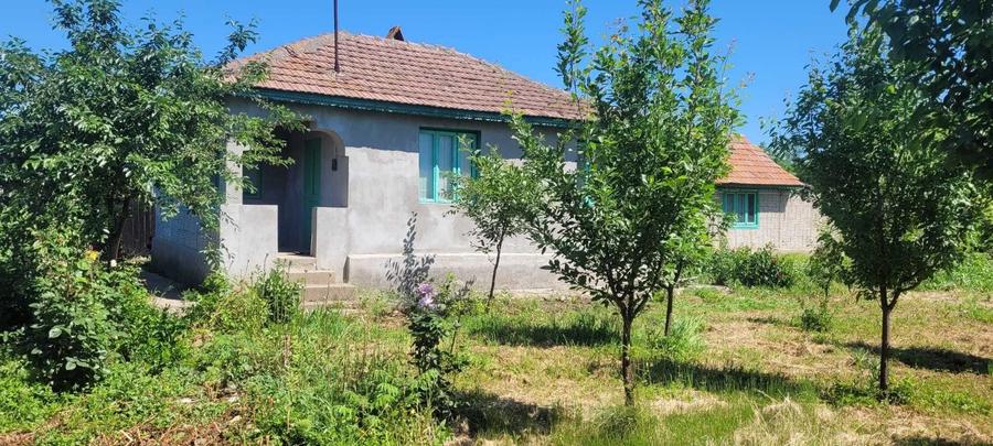 Teren de 1550 mp, în Colceag