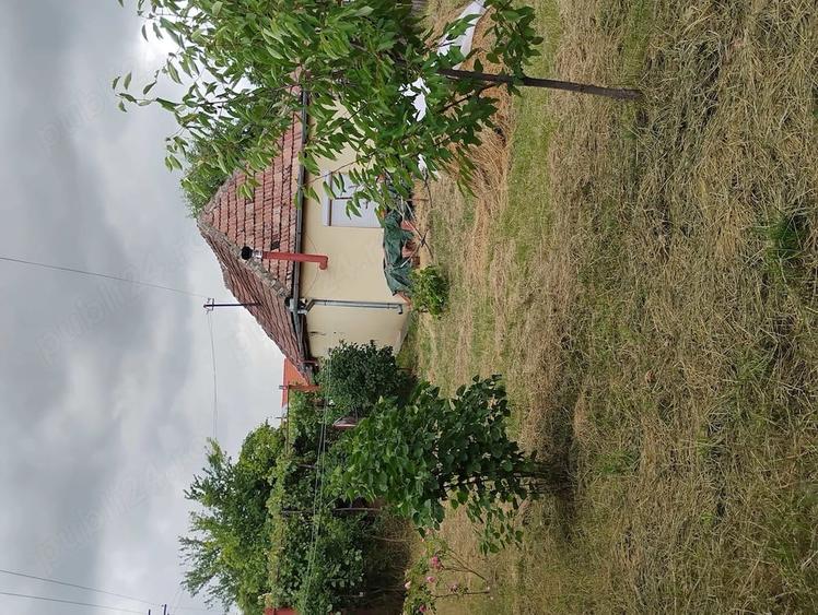 Casă cu 2 camere cu Teren 1000 Mp în Șeica Mare