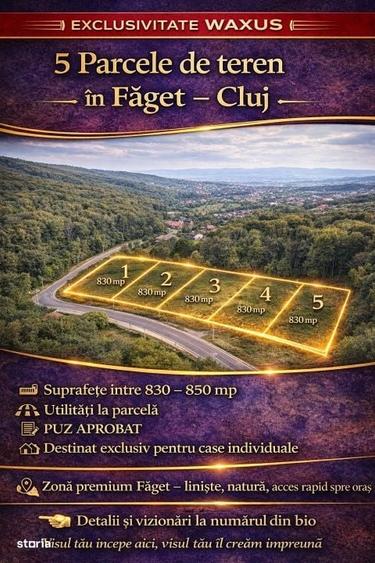Spațiu comercial, în Făget