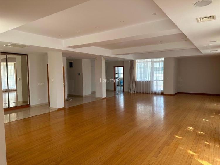 Penthouse Herastrau 4 camere lux , 215 mp utili +110mp terasa - 5