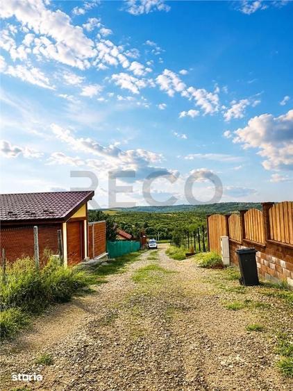 RECO Teren Saldabagiu de Munte, Aviz de oportunitate - 4