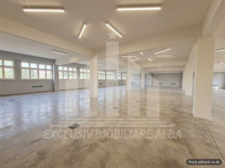 Spațiu industrial, de 1,100 mp, în Bărăbanț